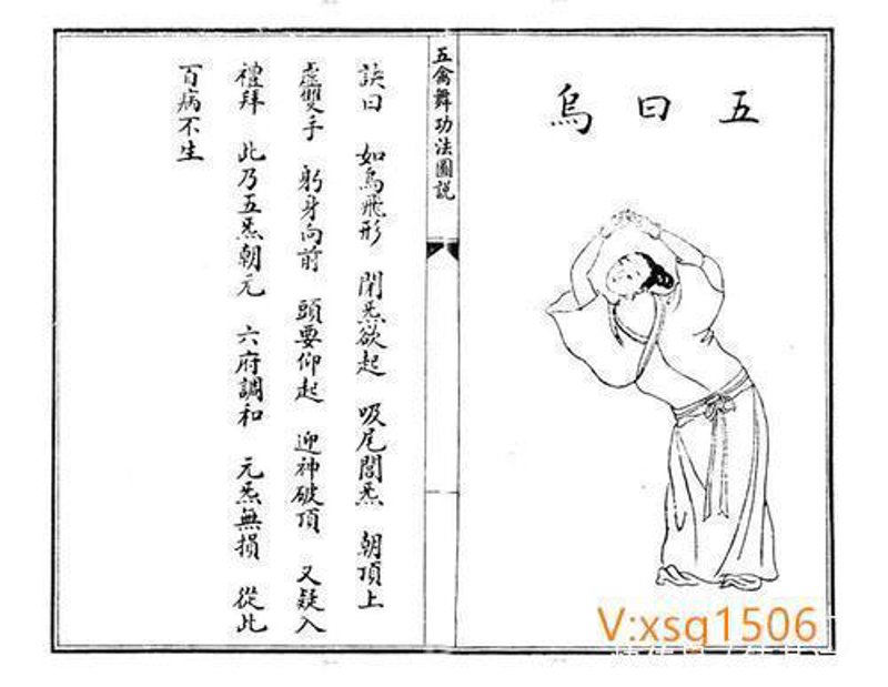 走进传统养生之五禽戏教学视频