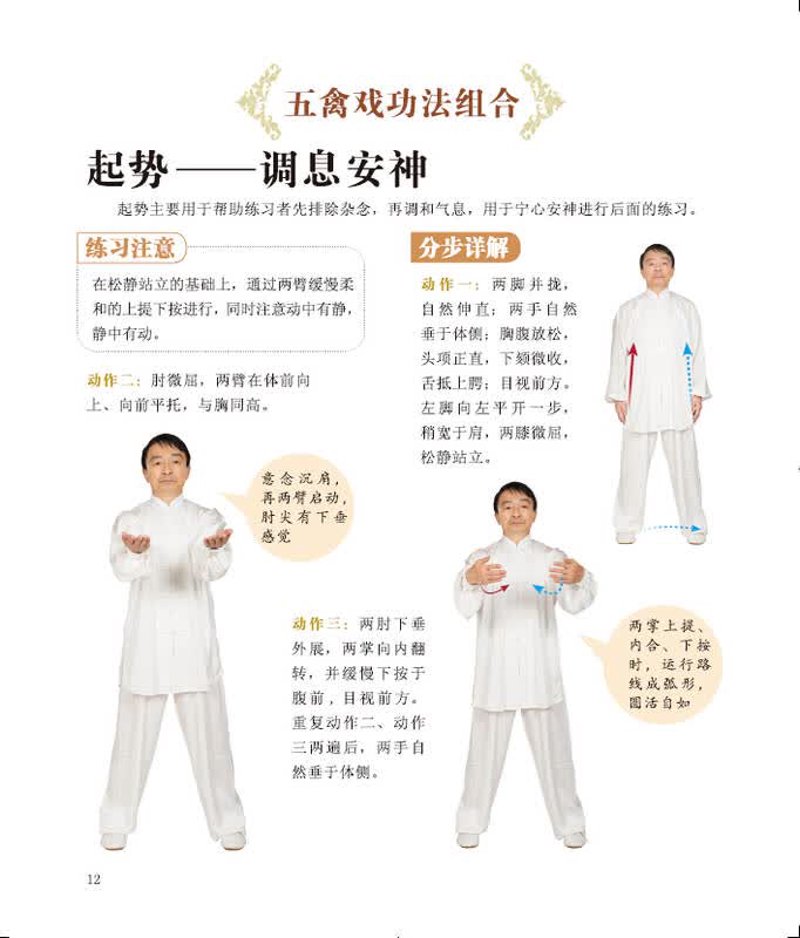 华佗五禽戏图解，探索传统养生智慧