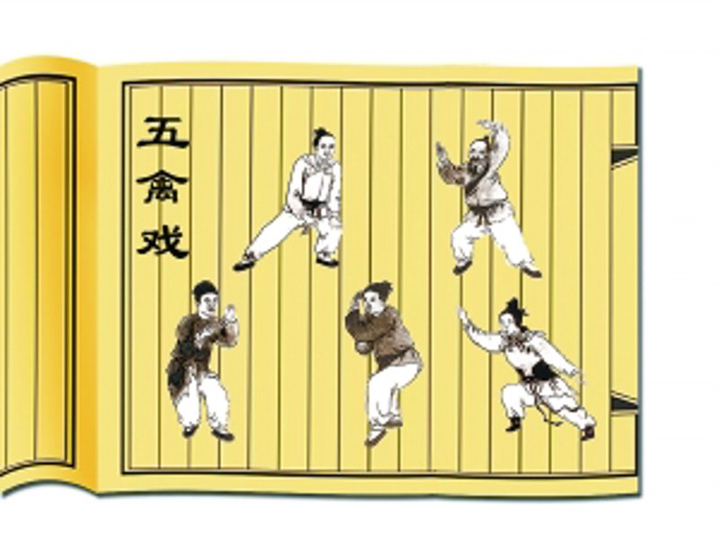 五禽戏分解动作解析:解锁你的身心修炼之道
