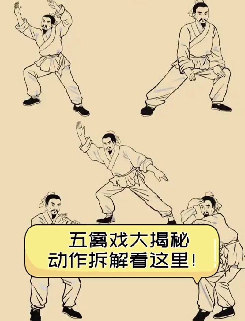 五禽戏分解动作解析：开启强身健体新篇章