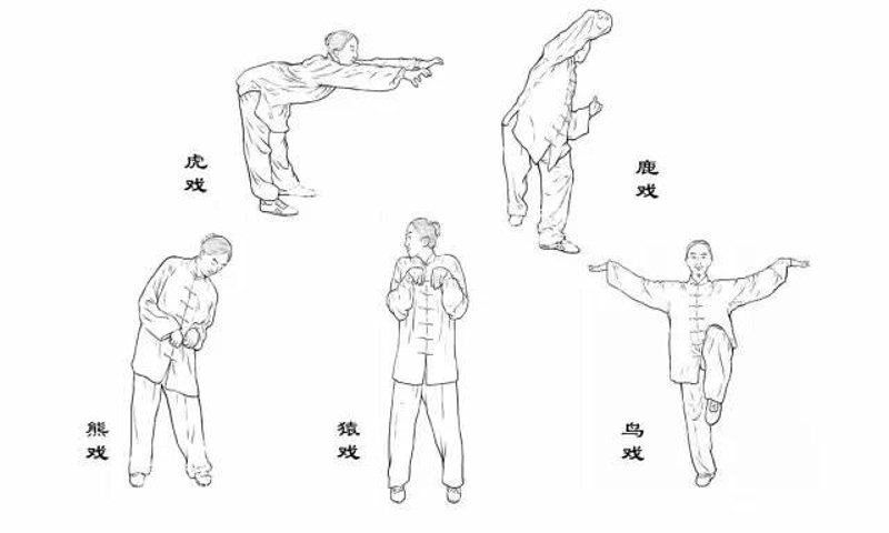 体验五禽戏分解动作的魅力与益处