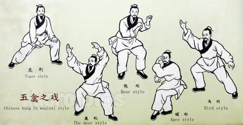 五禽戏分解动作