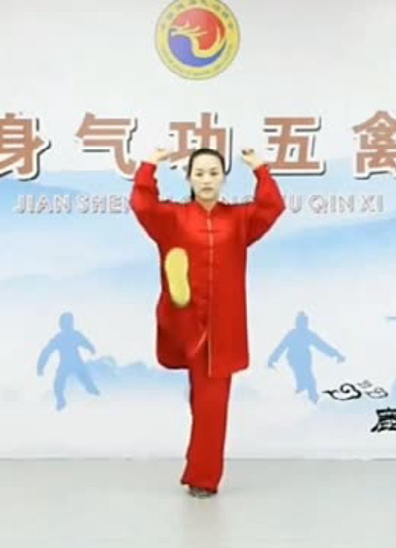 五禽戏引领生活新风尚：健身气功的新篇章